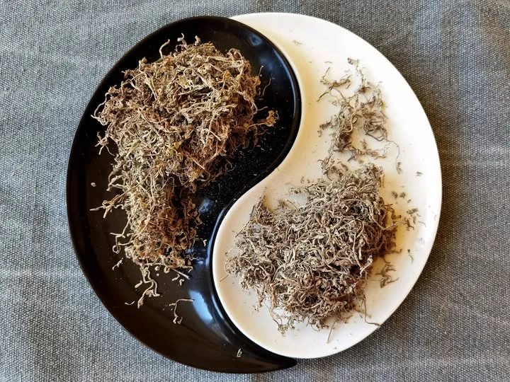 Mei Cha